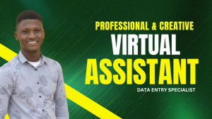 Data Entry Virtual Assistant